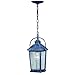 Lexington 1 Light Black Outdoor Lantern Pendant Clear Glass