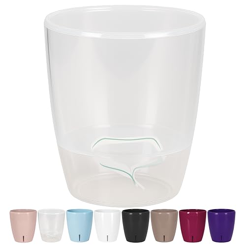 Santino Maceta para Orquídeas Ø 12cm Maceta Autorriego con Sistema de Mecha e Indicador de Nivel de Agua para Interior (Ø 12cm - 1,3L - Transparente)