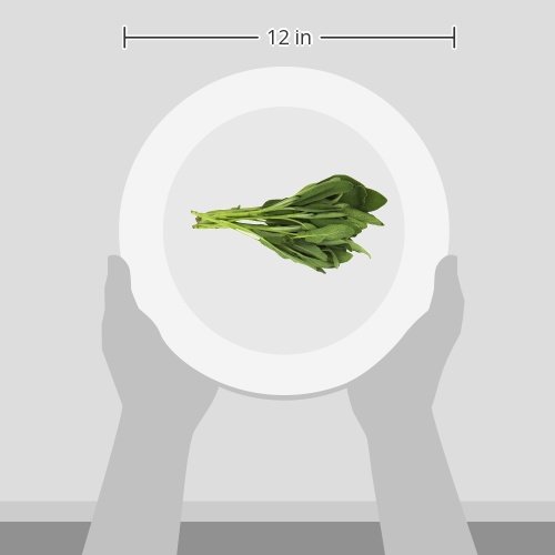 Organic Sage, 0.75 oz Clamshell