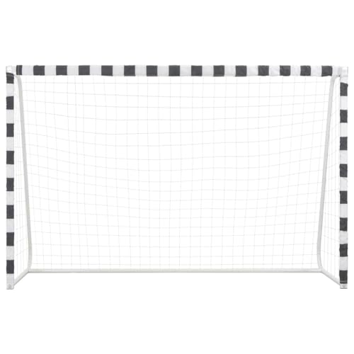 Portería de fútbol de 300 x 200 x 90 cm, de metal, para niños y adultos, con marco estable y red resistente a la intemperie