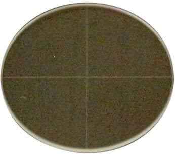 MA284 Eyepiece reticle, with cross hair; for The 48401 series compound microscopes