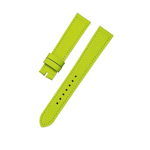 [X] vXgbvK؂ȃtBbgGX H  HH1.210/201 16 ~[gvvohuXbggbvwv(Light green,16mm)