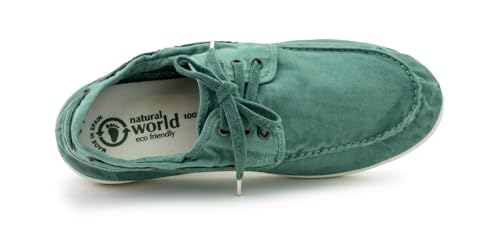 Natural World Modern2