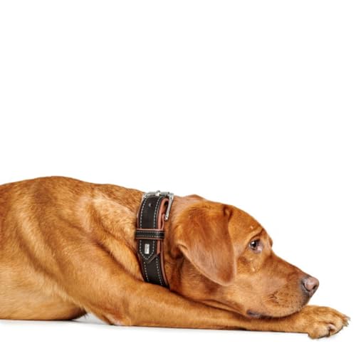 HUNTER Hundehalsband Canadian UP, Farbe: schwarz/Cognac, weiches, geschmeidiges Leder, klassisch, fellschonend, nachhaltig, Made in Germany, Größe: 65