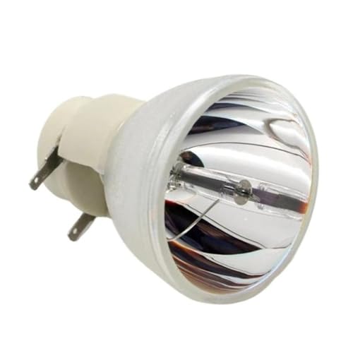 Ampoule de remplacement ViewSonic RLC-101 pour vos soirées cinéma maison
