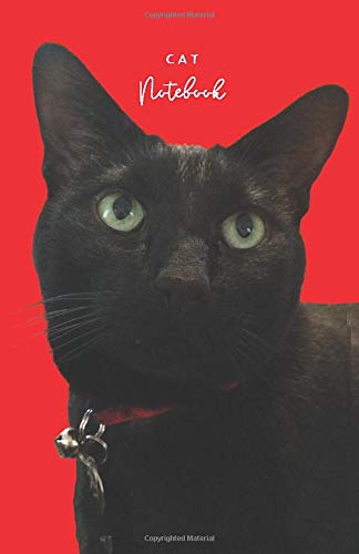 Cat Notebook: Stunning Black Cat Photo