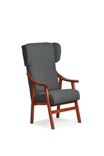 Gasten a gusto Silla con Brazos y apoya-Cabeza. Madera Cereza (Medidas: 117 * 69 * 57 cm) Tela Antimanchas: para Personas Mayores o geriátrico. (Marengo)