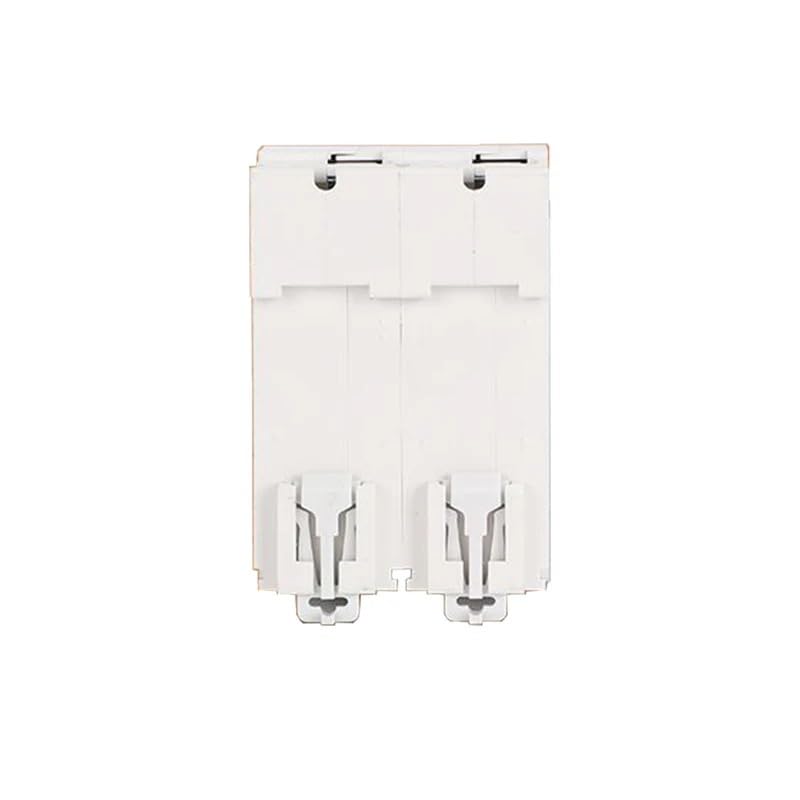 Salvavita Riarmo Automatico 1 pz 12V 24V 36V 48V 60V 72V 96V 120V DC Interruttore automatico Celle 80A 100A 125A 150A 200A 250A(2P,80A)