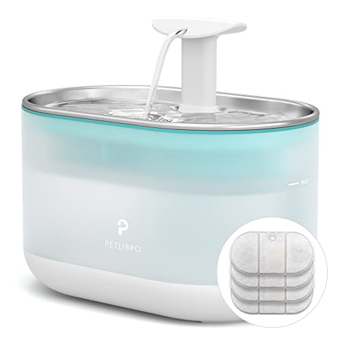 8 Best Cat Water Fountains (2022 Reviews) Maine Coon Hawaii