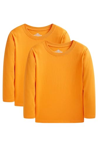 Image of Cadidi Dinos Boys Girls Long Sleeve Shirts Cotton Casual Crewneck Printed Kids T-Shirts