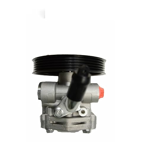 Pompa del servosterzo 49100-65D00 5PK compatibile con Suzuki Grand Vitara Escudo G16A