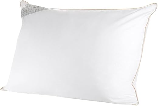Buddemeyer Travesseiro 50x70cm, Toque de Pluma Algodão Branco