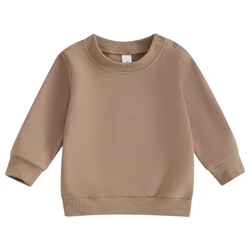 TheFound Toddler Baby Boys Sweatshirts Long Sleeve Crewneck Solid Color Pullover Fall Winter Tops Casual Newborn Baby Clothes