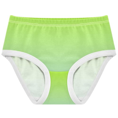 Joisal Girls Underwear Toddler 2t Cotton Panties for Girl Florals Kids Briefs Undies Lemon Green Powder Blue Gradient