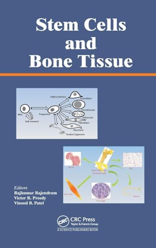 Stem Cells and Bone Tissue view 2