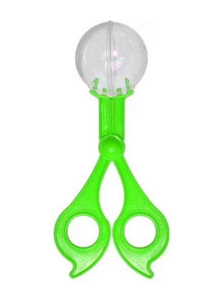 BWESOO Green Catcher Plastic Outdoor Clamp Biology with Tweezer for Insect Bug Scissors Gifts Sports and Outdoor Play