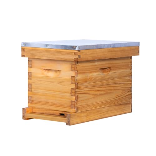 ThxBees 5 Frame Nuc Beehive Kit Complete Bee Hive Nuc Box Coated with Beeswax Includes Beehive Frames and Waxed Foundations for Beekeeping (Unassembled)
