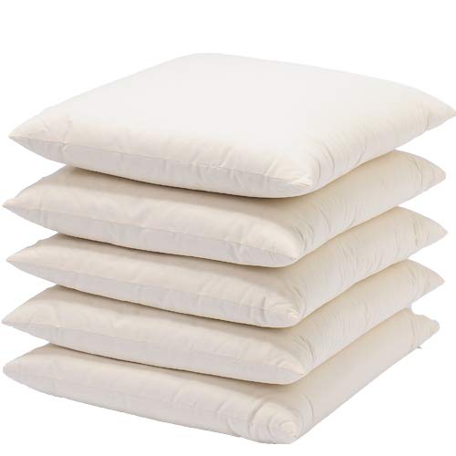 Amazon.co.jp: 国産 ヌード座布団 5枚セット 45x45cmカバー用 「中わた