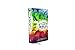 NKJV, Study Bible for Kids, Hardcover, Multicolor: The Premier NKJV Study Bible for Kids