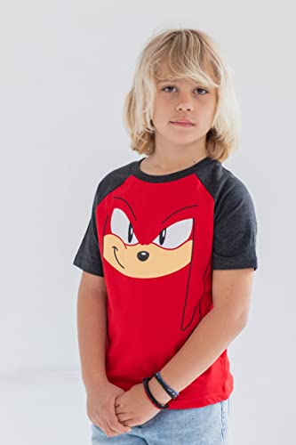 Image of SEGA Sonic the Hedgehog Boys' 3-Pack Short Sleeve T-Shirts Toddler to Big Kid