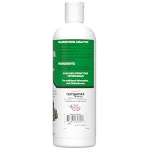 Nutramax welactin omega 3 fish oil skin and coat health supplement liquid for dogs  16 ounce   cucciolini doodles