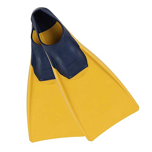 10 Best Swim Fins for Training in 2024 The Organized Pantry