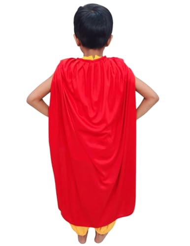 Image of BookMyCostume Balveer Indian Cartoon Kids Fancy Dress Costume