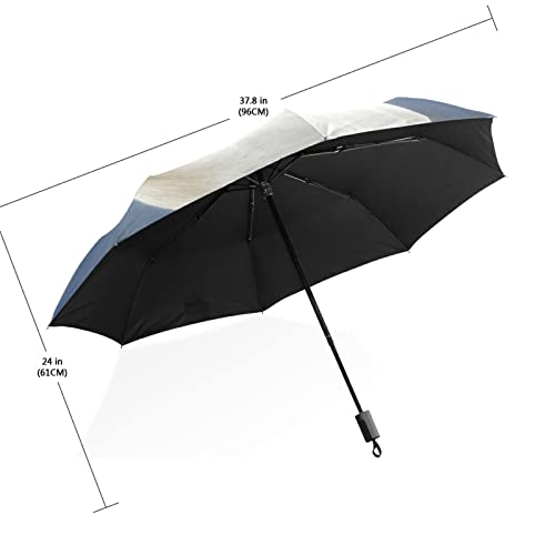 Parapluie d'hiver pliant cheval blanc pour vos trajets quotidiens