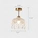 LIGHTLAND 7.9 Inch Vintage Crystal Ceiling Light, Crystal Dome Chandelier, Small Chandelier for Entryway, Hallway, Balcony