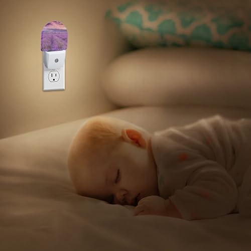 Image of Night Light,Lavender Field Sunset Night Lights Plug Into Wall Bedroom Bathroom Kitchen Hallway Stairs Hallway, Energy Efficient Decor Desk Lamp Gifts