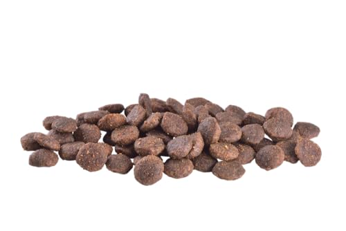 Brit 2kg Care Mini Yorkshire getreidefrei Hundefutter