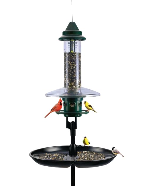 Squirrel Buster Plus Podium Ultimate Squirrel-Proof Bird Feeding Station Includes Plus Bird Feeder Weather Guard Pole Adaptor BirdsUP Single Pole and Seed Catcher Tray