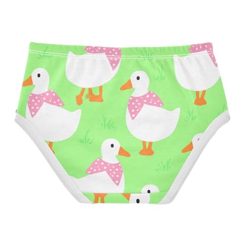 Toddler Underwear Floral 2t Cotton Cute Panties Girl Colorful Kids Briefs Undies Cute White Geese Green2