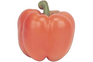 Hot House Peppers: The Finest Orange Bell Peppers for a Burst of Freshness
