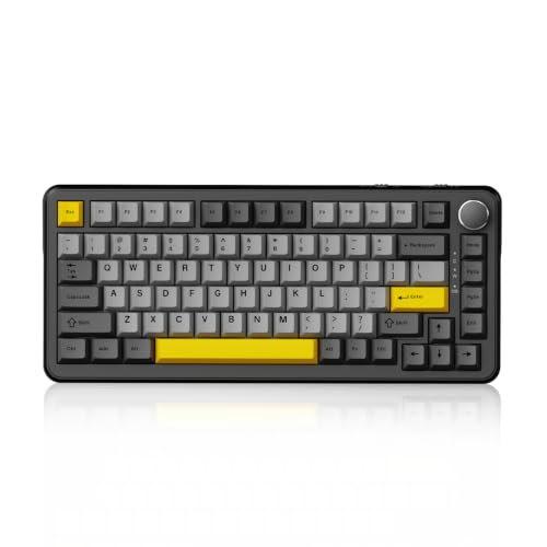 Image of AJAZZ AK820 HE Wired 75% Gaming Keyboard, Hall Effect Magnetic Switch with Rapid Trigger, 8KHz Polling Rate, Gasket Mount, PBT Keycaps, RGB Backlit, Metal Volume Knob for PC /Mac, Black
