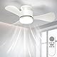 Airwit 71cm Deckenventilator mit Beleuchtung Leise, Klein Deckenventilator mit Licht und Fernbedienung, LED Deckenleuchte mit Ventilator für Schlafzimmer Wohnzimmer Küche, Umkehrbarer DC Motor