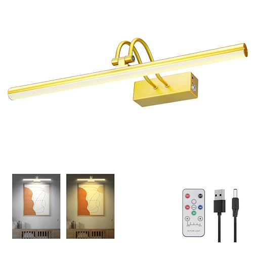 Image of RAIFOOLLY Picture Light, 2 Colors Art Lights for Paintings,16 inch inch Battery Operated Wall Light,Remote Control Painting with Timer and Dimmable for Frame, Portrait, Dartboard (BRASS), RF00300