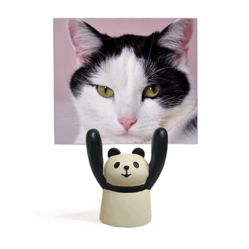 Support pour mémo chat panda porte note mignon pour le bureau
