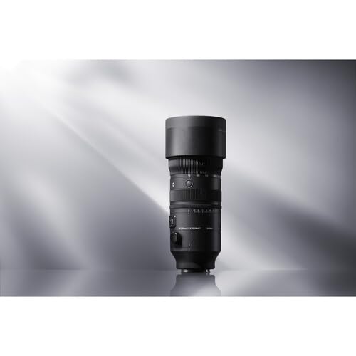Sigma 24-70mm f/2.8 lens