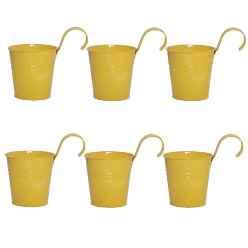 Lot de 6 pots de fleurs vintage à suspendre en métal avec crochet amovible pour clôture, balcon, jardin, mur, décoration d'intérieur, terrasse, avec trou...