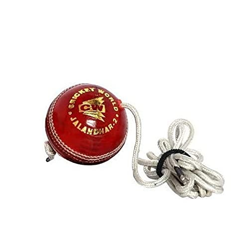 CW PACE Sports Combo in pelle palla gioco kashmir salice mazza da cricket full size con tiro pratica palla in pelle appeso con corda