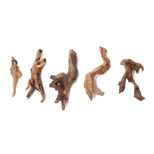 Image of 5Pcs Real Natural Driftwood for Aquarium, Aquarium Decor Wood Freshwater Fish Tank Reptile Driftwood Branch Length 3.93 inch to 5.9 inch