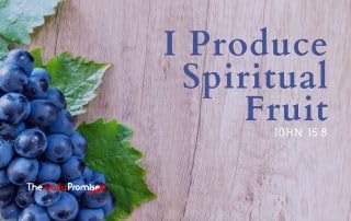 I Produce Spiritual Fruit