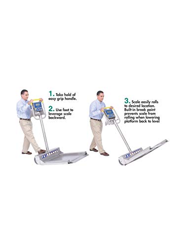 Fairbanks Scales 29824C Ultegra Flat Top Bench Scale 14 X 14 in. 150 Lb. USB Output USB