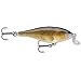 Rapala Shallow Shad Rap Perch 2.5