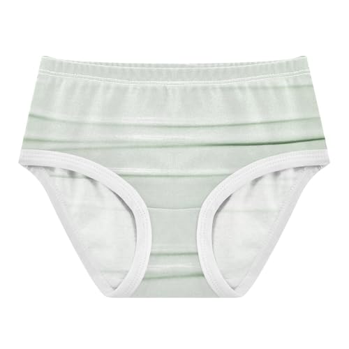 Cotton Panties All Seasons Panties Toddler Cotton Underwear for Toddler Girls in Sizes 2T,3T, 4T, 5T, 6Y and 8Y