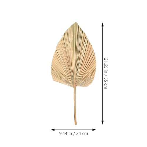 2 hojas de palma secas para decoración rústica boho miniatura 3