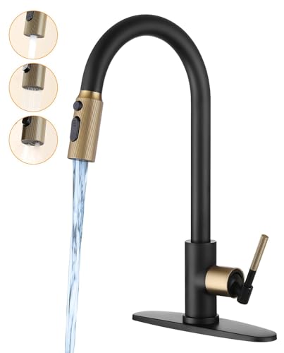 RALANDA Black and Gold Kitchen Faucet for RV & Bar Sink Stainless Steel Kitchen Faucets with Pull-Down Sprayer Single Handle Gooseneck Design 1/3 Hole Installation Matte Black Finish