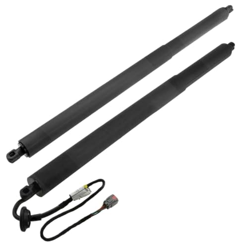 Support levage hayon électrique gauche droit pour Ford Edge 2015-2018