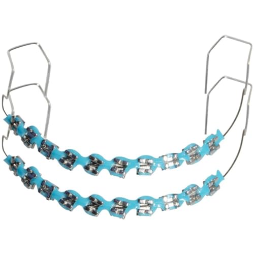 HiyyFloy Decoración Dental Temporal con Alambres De Metal, 10 Tipos De Soporte, Gancho De Soporte De Metal Colorido Y Ligaduras De Ortodoncia, Decoraciones Dentales